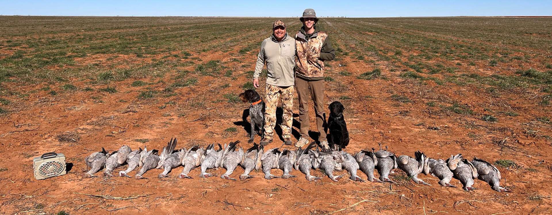 Sandhill Crane Hunts Sandhill Crane Hunts