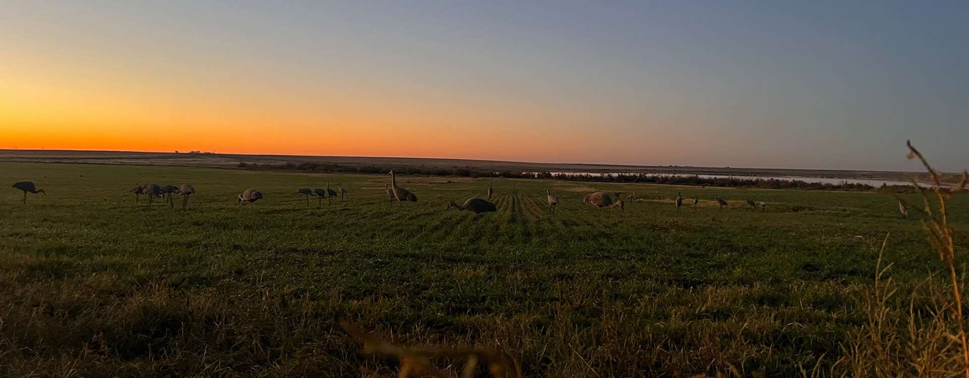 Rates & Packages Rates & Packages