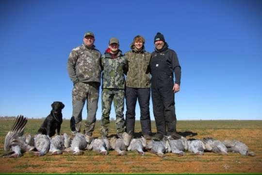 Sandhill Crane Hunts Sandhill Crane Hunts